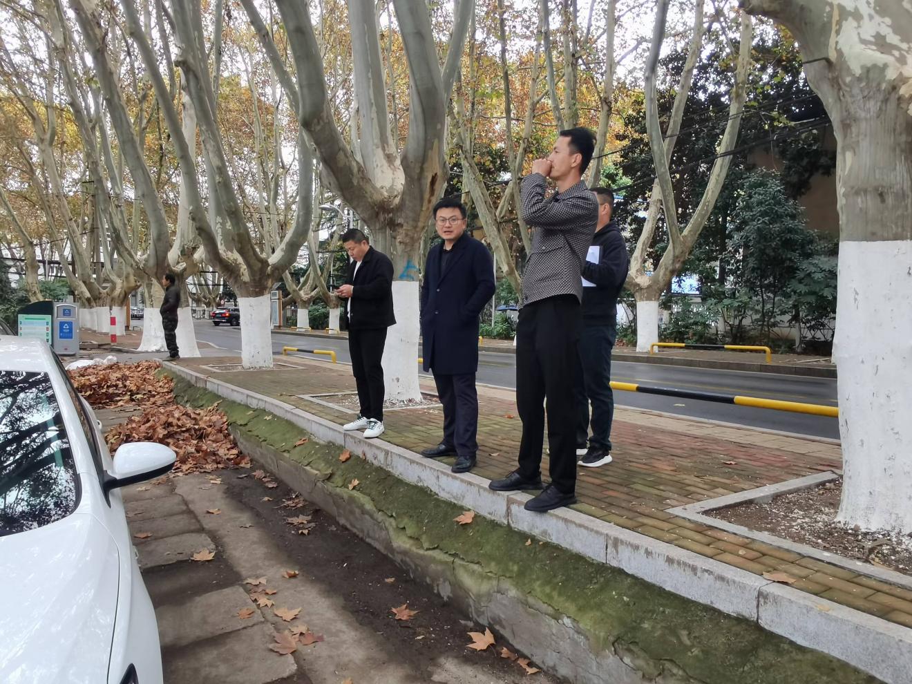 智泊1 智泊1